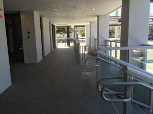IMG_0518